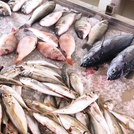 Maresia Апартаменты Кабанаш-де-Тавира